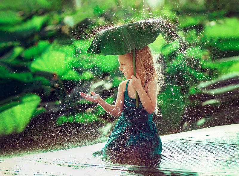 дождь, лотосы, лето, девочка, лист photo preview