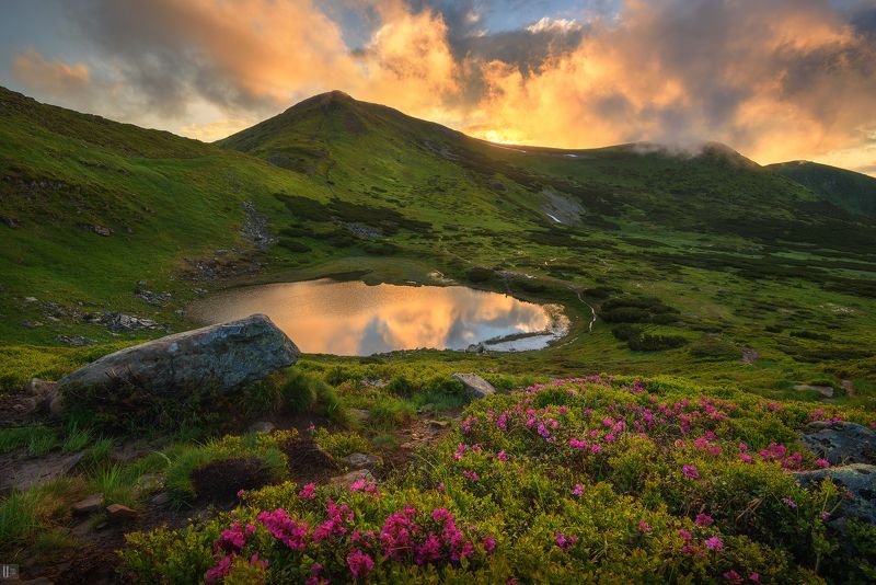 горы, закат, камни, карпаты, небо, облака, озеро, отражение, трава, украина, рододендрон, жереп, несамовитое Гроза рождает чудные мгновеньяphoto preview