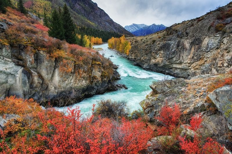 алтай, чуя Осень на Чуеphoto preview