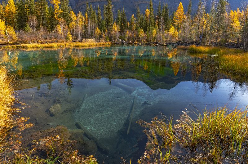 горный алтай, осень, гейзеровое Ещё раз про Гейзеровое.photo preview