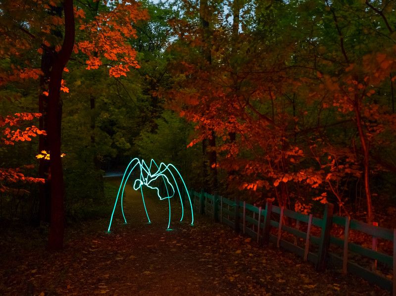 lightpainting, lightart, longexposure, nightphotography, light, night, spider Fantastic Beasts and Where to Find Them.photo preview