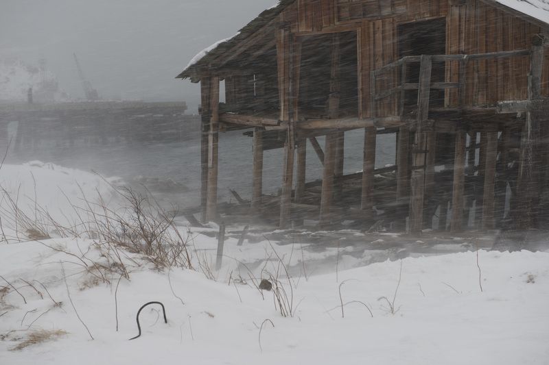 териберка, ветер, метель ***photo preview