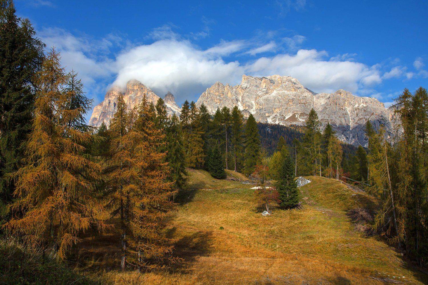 Автор: Игорь Дубровский , Игорь Дубровский