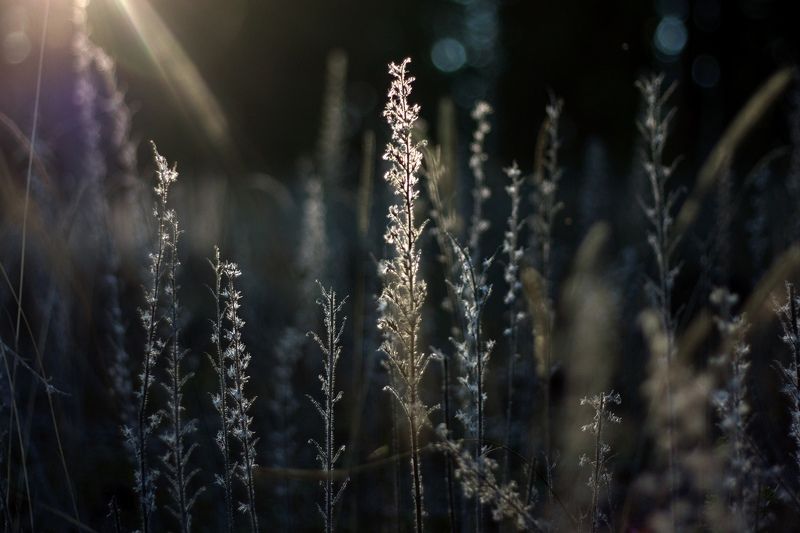 Октябрьphoto preview