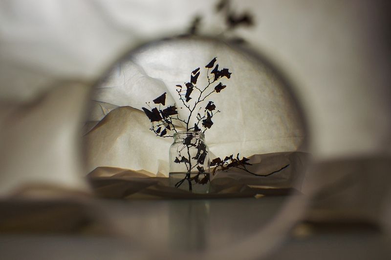 Через линзуphoto preview