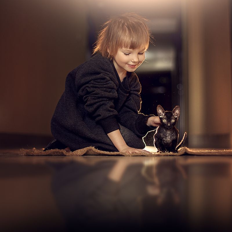 Мой маленький черный другphoto preview