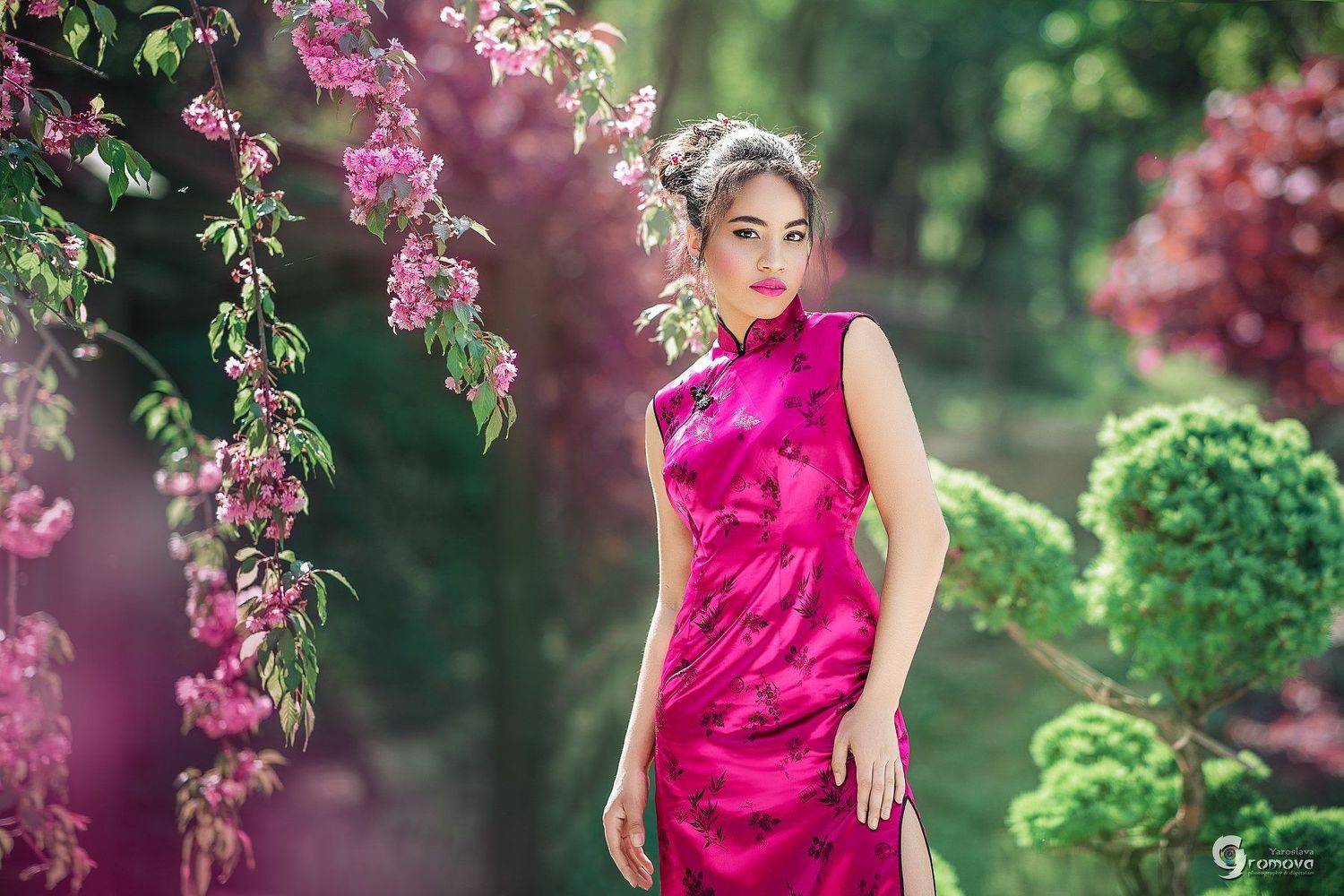 девушка, метис, Китай, Япония, сакура, традиции, смешение, глобализация, весна, цветение, розовый, Ярослава Громова