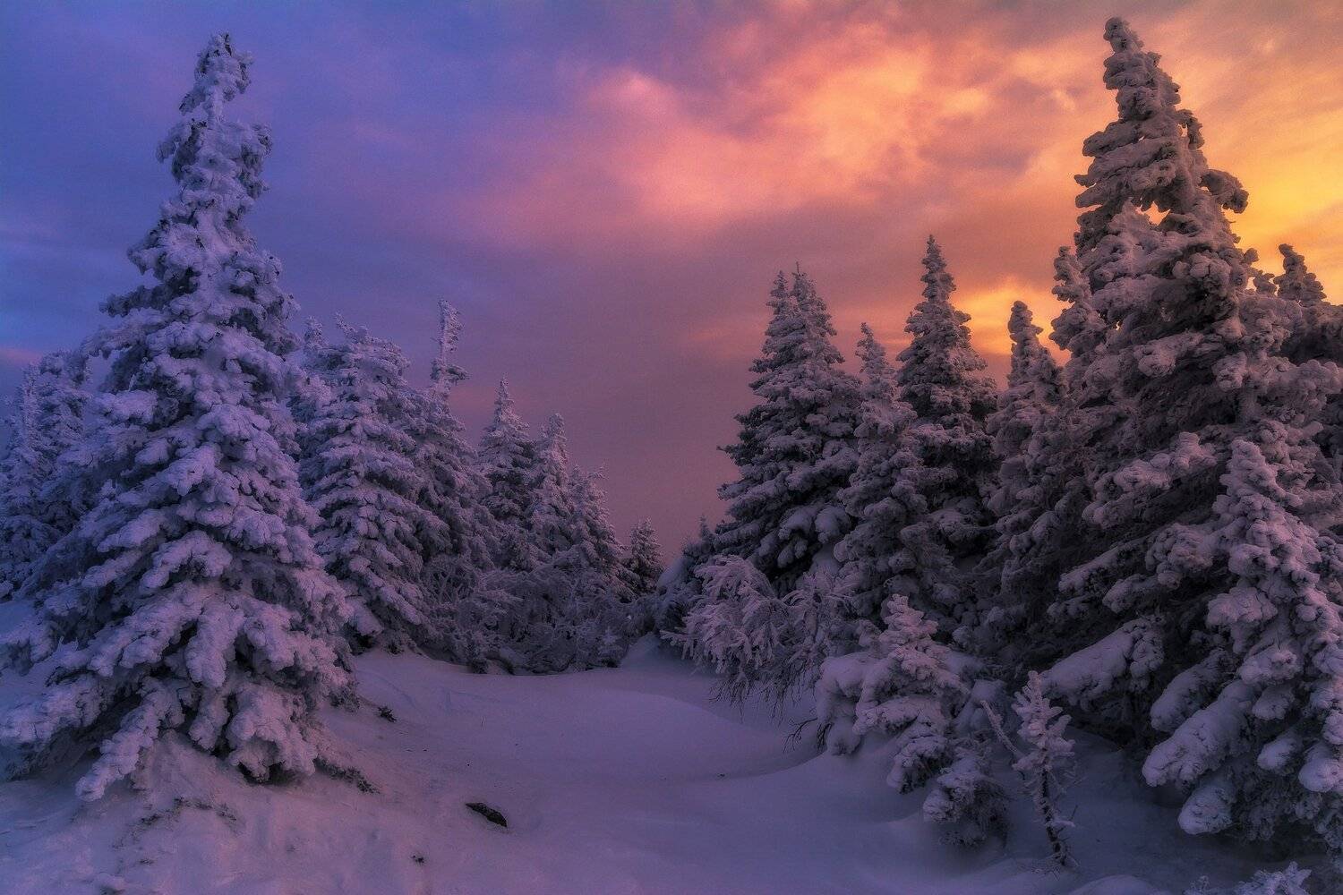 *******. Автор: Андрей Шарапов , Андрей Шарапов