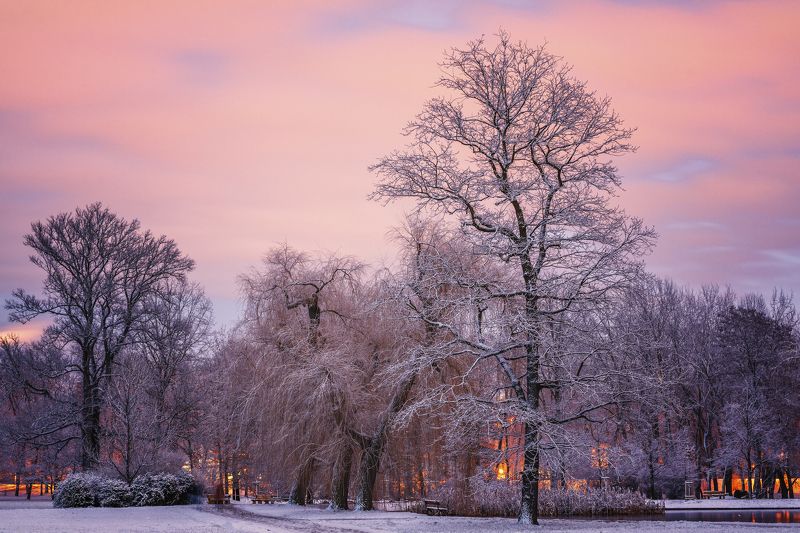 один зимний вечерphoto preview