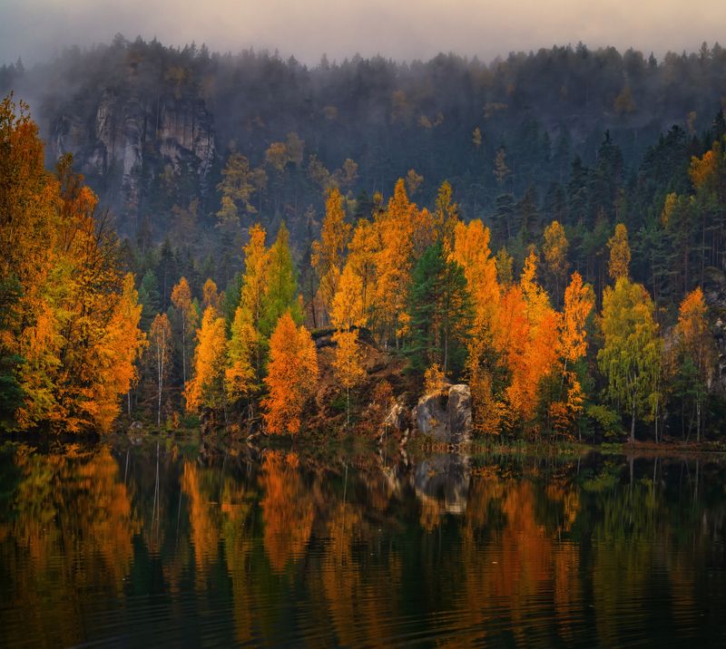 осень природа путешествия пейзаж вода озеро водоём туман деревья отражения чехия скалы утро листва Осень в Адршпашских скалахphoto preview