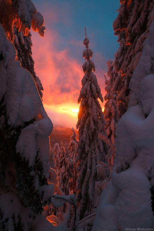 горы, гори, закарпаття, зима, карпати, свидовець, лопухів, лопухов, свидовец, карпаты, закарпатье, свет, закат, солнце, яркий запылалоphoto preview