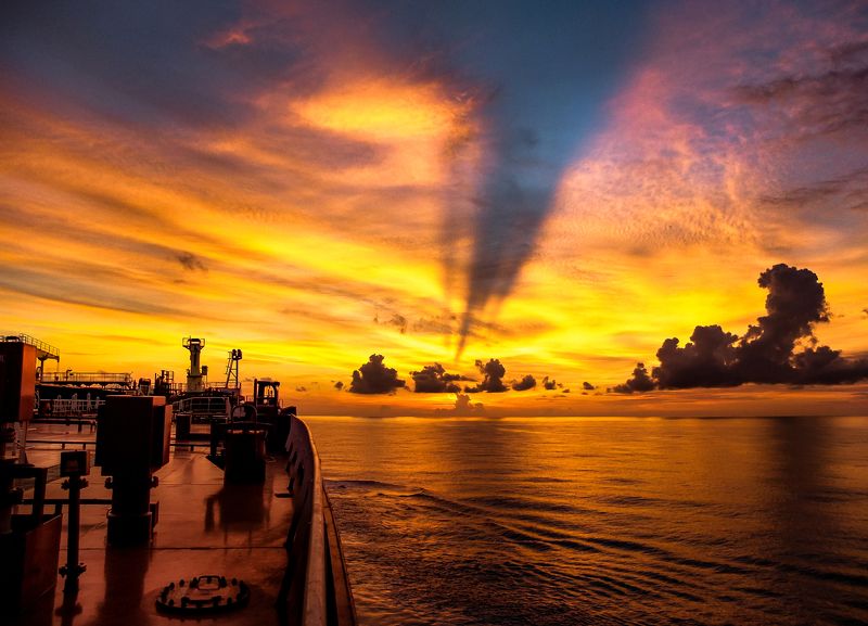 Жизнь Пиphoto preview