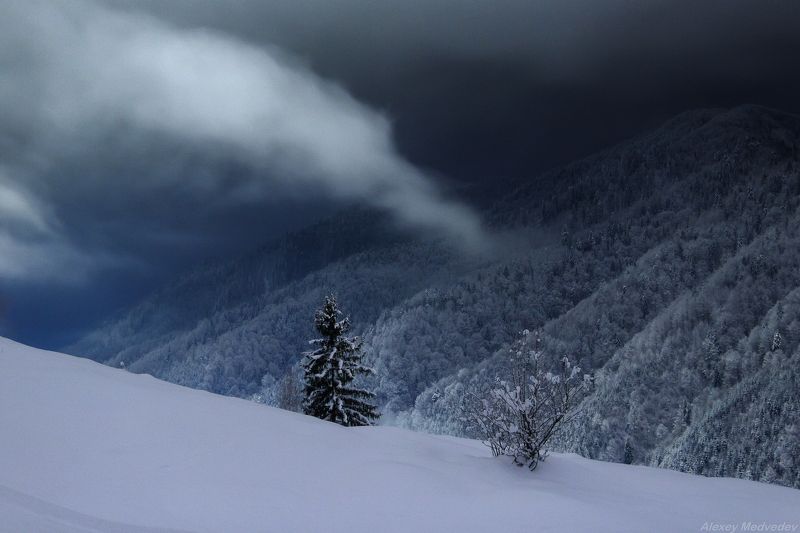горы, гори, закарпаття, зима, карпати, свидовець, лопухів, лопухов, свидовец, карпаты, закарпатье, ночь Протягивают ночные облакаphoto preview