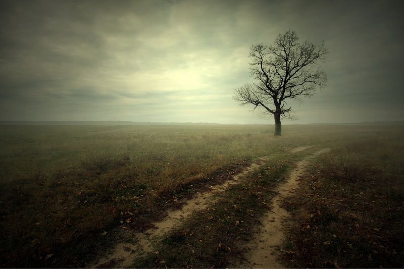 field autumn gomel belarus road Осенний пейзаж с деревомphoto preview