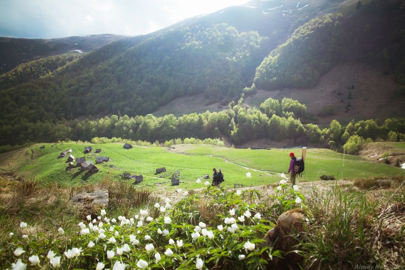 карпаты, свидовец, весна, май, зеленый, полонина, туристы, ярошевская, ярошевська, колыбы Полонина Ярошевськаphoto preview