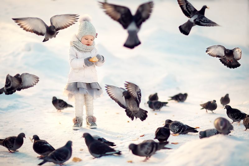 голуби девочка ***photo preview