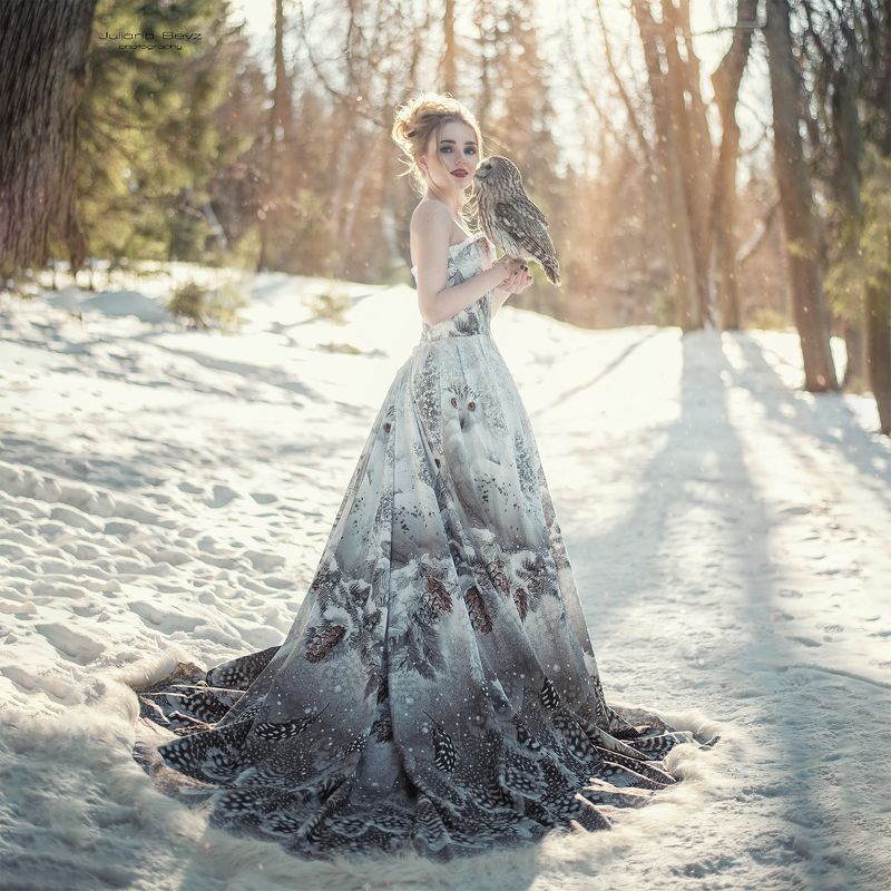 девушка, сова, зима, красота, природа, платье owl historyphoto preview