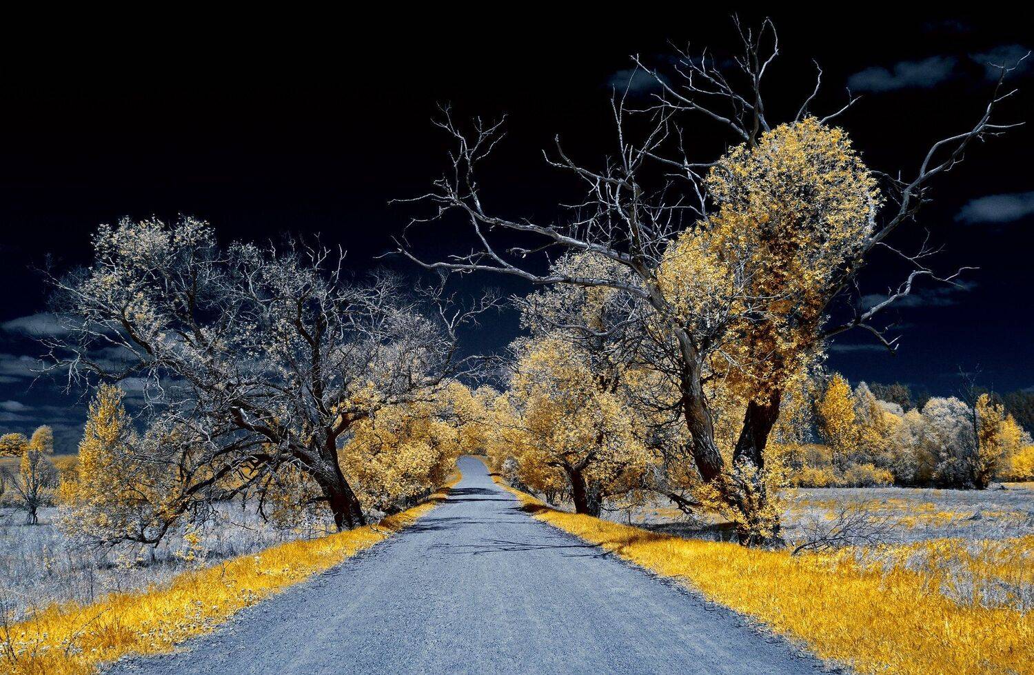 Манящая неизвестность. Инфракрасная фотография.. Автор: Sixten ( Сергей ) infrared,ик-фото,инфракрасное фото, инфракрасная фотография, пейзаж, весна, беларусь, Sixten ( Сергей )