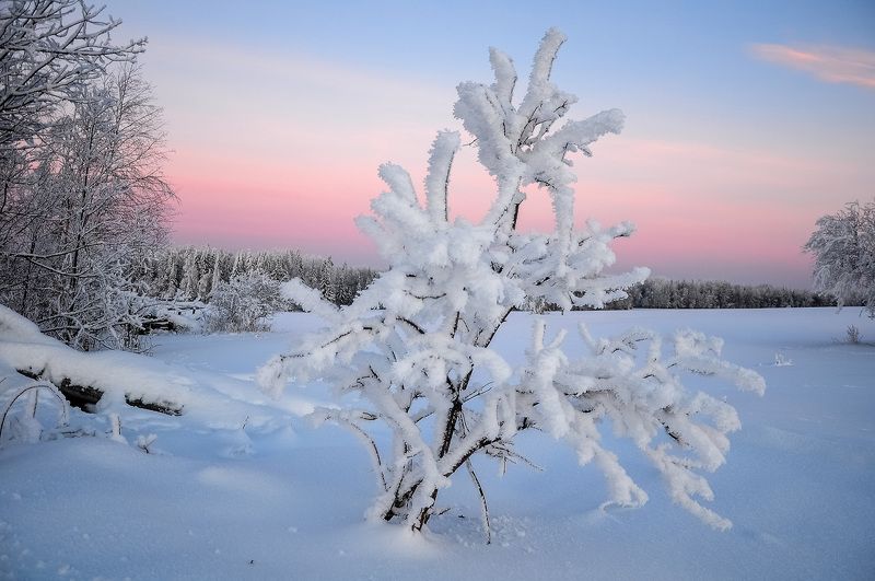 удмуртия, зима, иней,кез Перед рассветомphoto preview