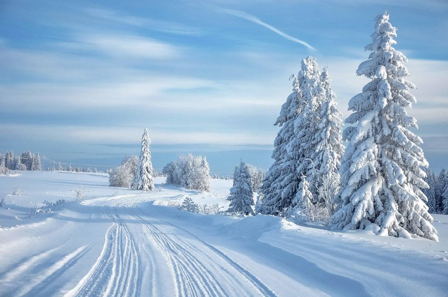 No title. Автор: АНДРЕЙ LOZHKIN удмуртия, зима, иней,кезский район, АНДРЕЙ LOZHKIN