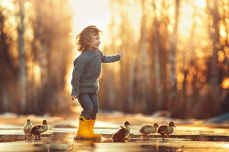 мальчик, утята, гусята, весна Дружно шагом...photo preview