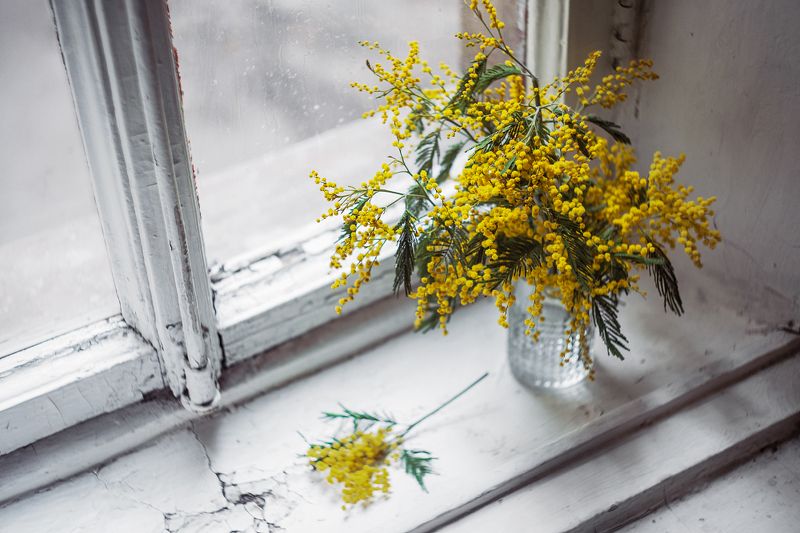 Желтое настроениеphoto preview