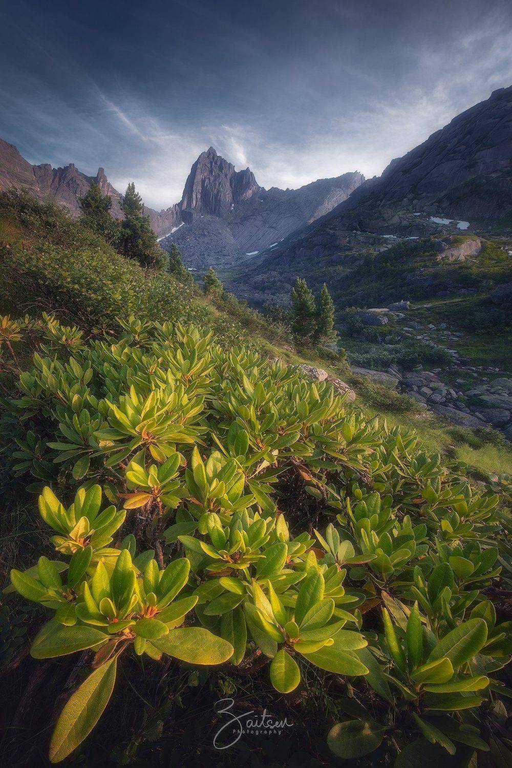 Скала Птица перед закатом.. Автор: Женя Зайцев горы, ергаки, рододендрон, вечер, облака, скала, лето, Женя Зайцев