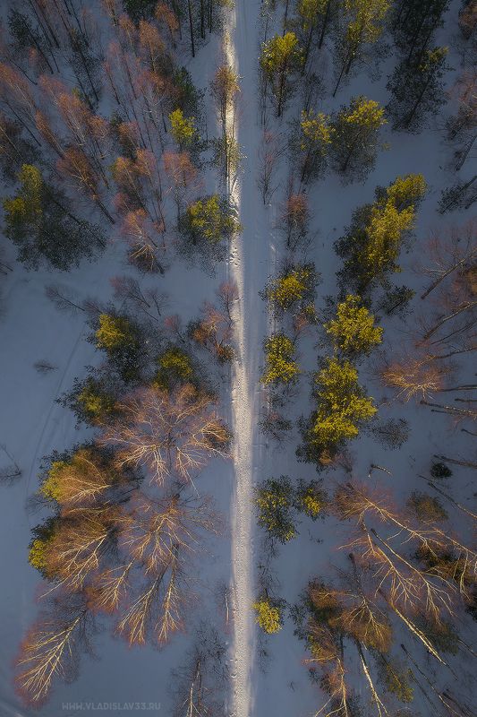 Тропа лесных жителей photo preview