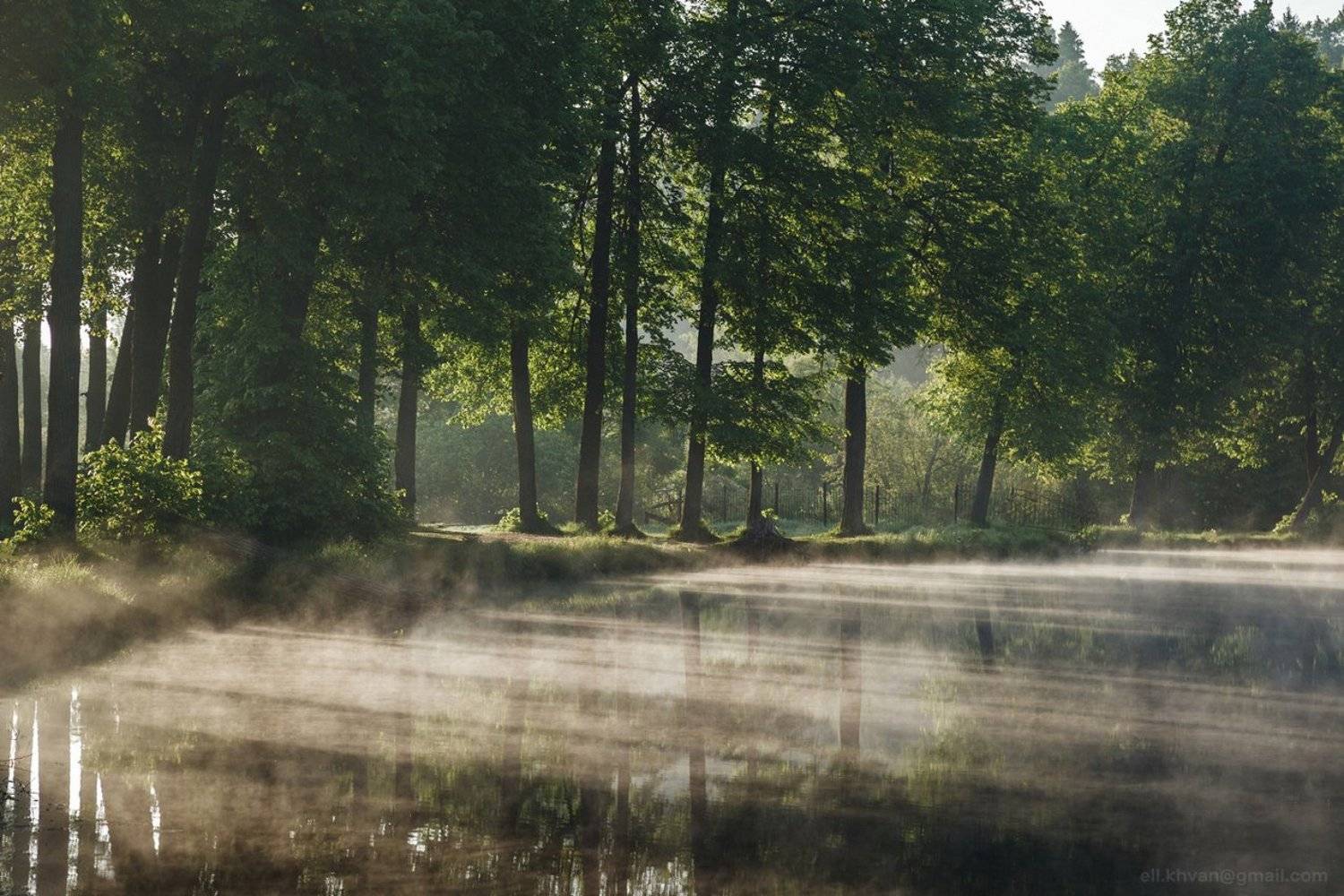 , Элина Хван