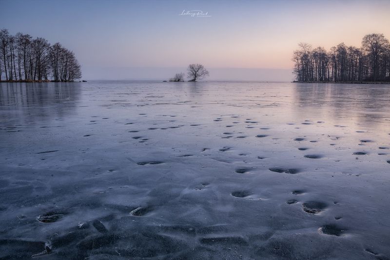 blue, cold, horizon, ice, lake, lake hjälmaren, ludwig riml  photography, morning, morning light, nature, outdoors, reflection, sunrise, tracks, tree, trees, winter Walking on Waterphoto preview