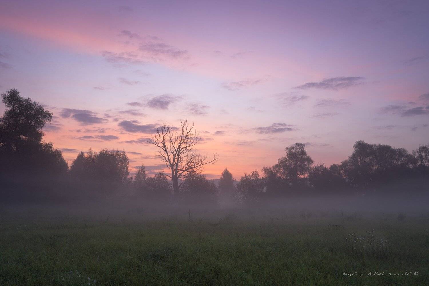 Утренний туман. Автор: Александр Кыров , Александр Кыров