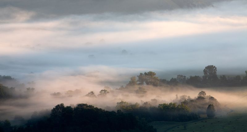 пейзаж, туман, утро, деревья, долина, башкирия, урал, олег_грачёв,oleg_grachev, canon, canonlens, fog,morning,ural, Акварельное утро.photo preview