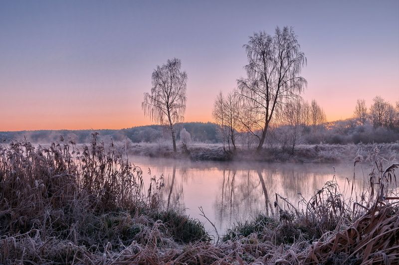 утро, мороз, природа, осень Иней шепчетphoto preview