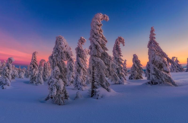 Daybreakphoto preview