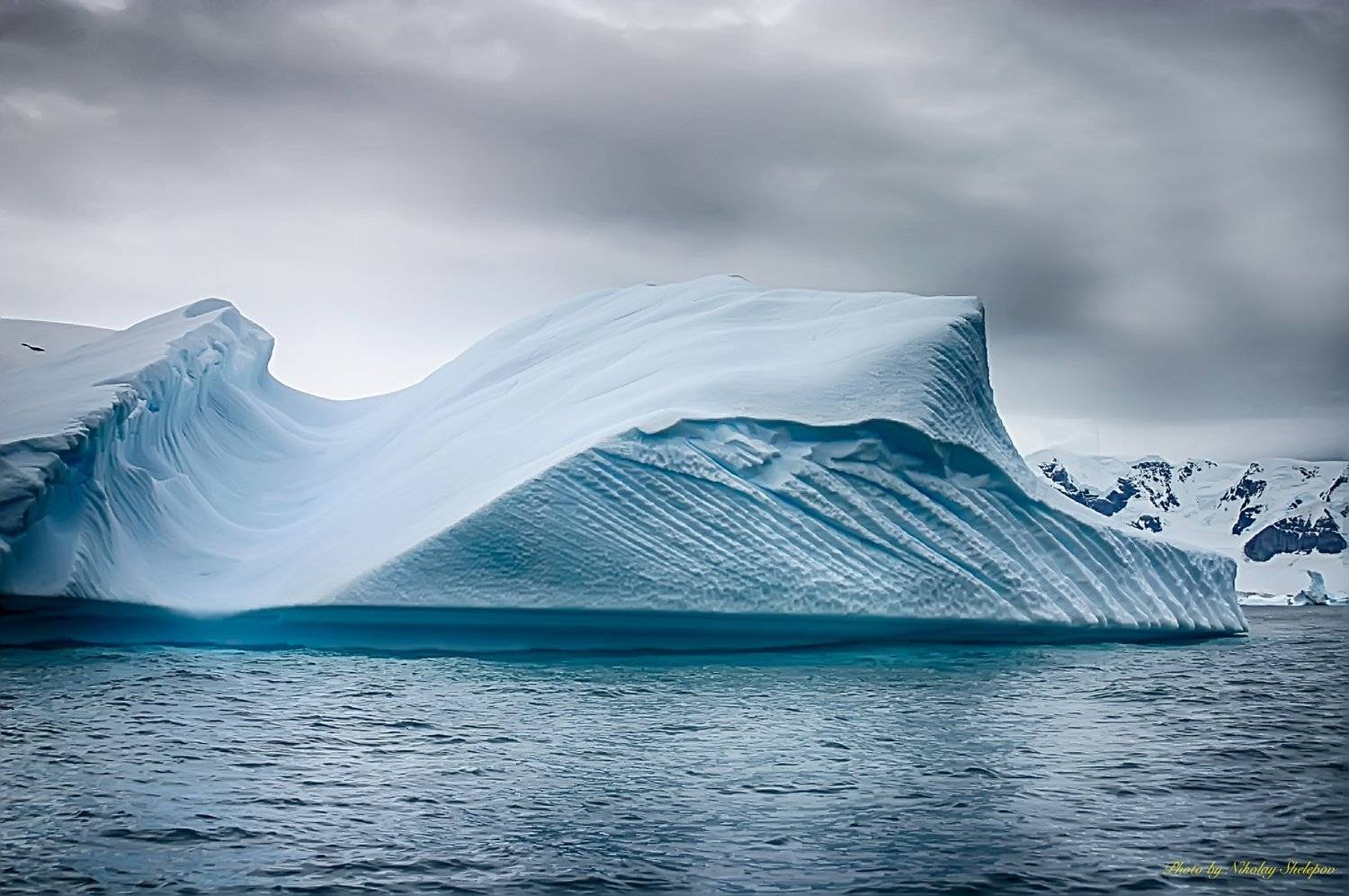 , Николай Шелепов