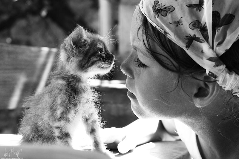 Встречаphoto preview