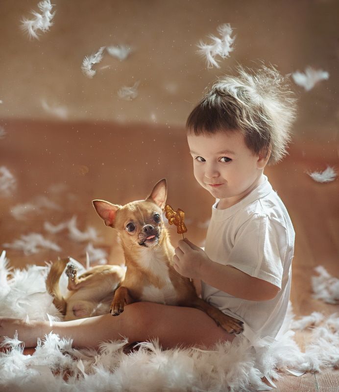 Чудо в перьяхphoto preview