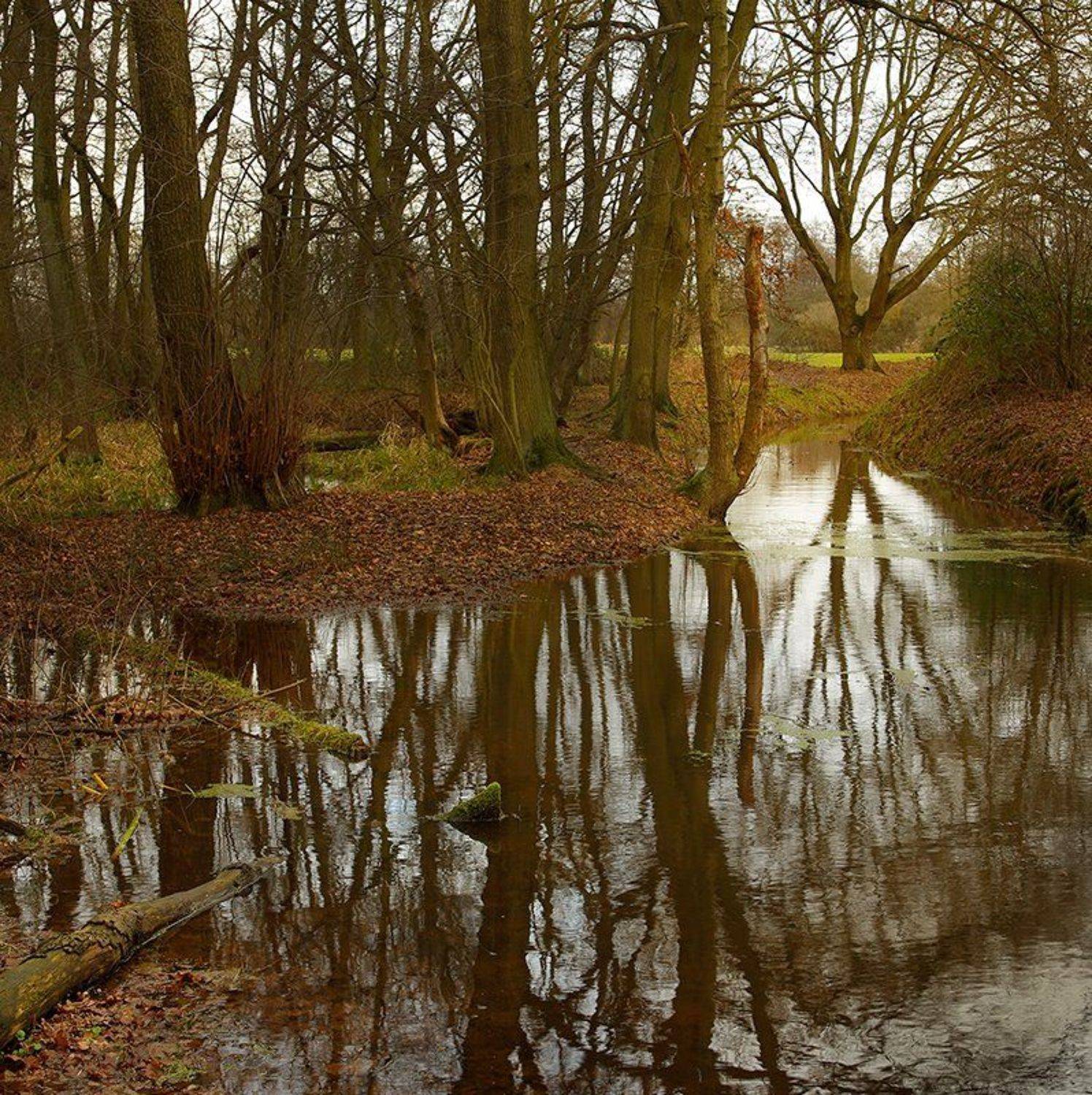 , Игорь Дубровский