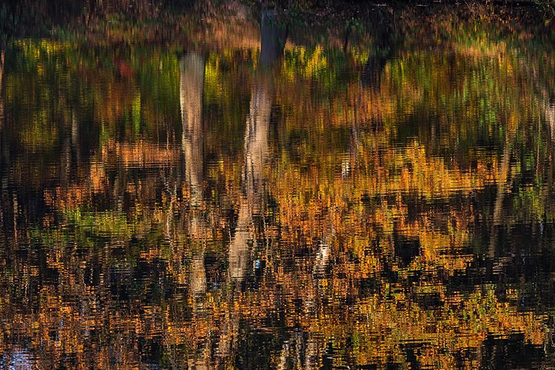 Осенний калейдоскопphoto preview