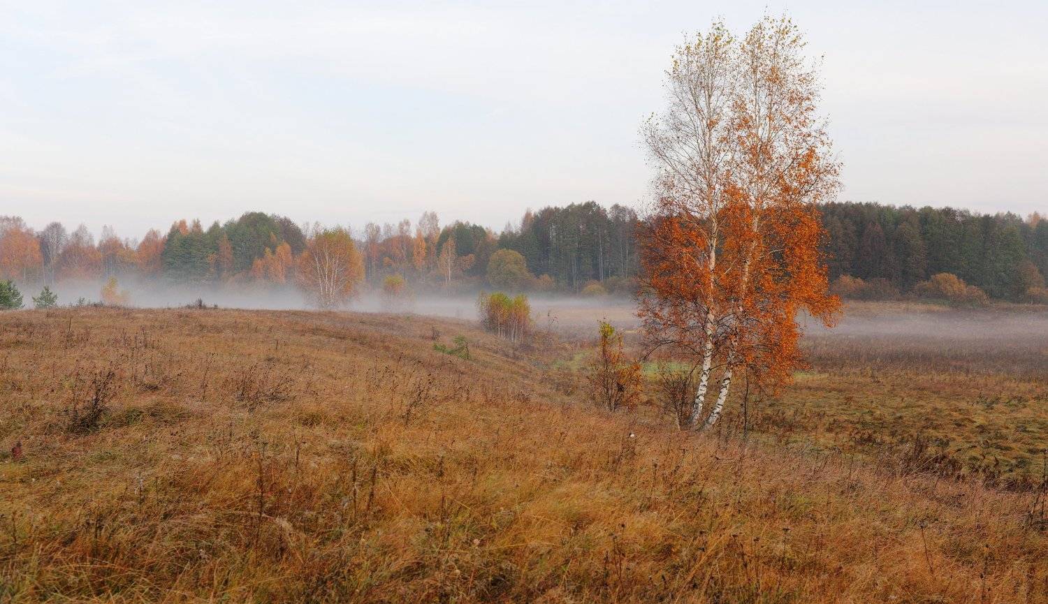 Осень... Автор: Александр Курносов , Александр Курносов