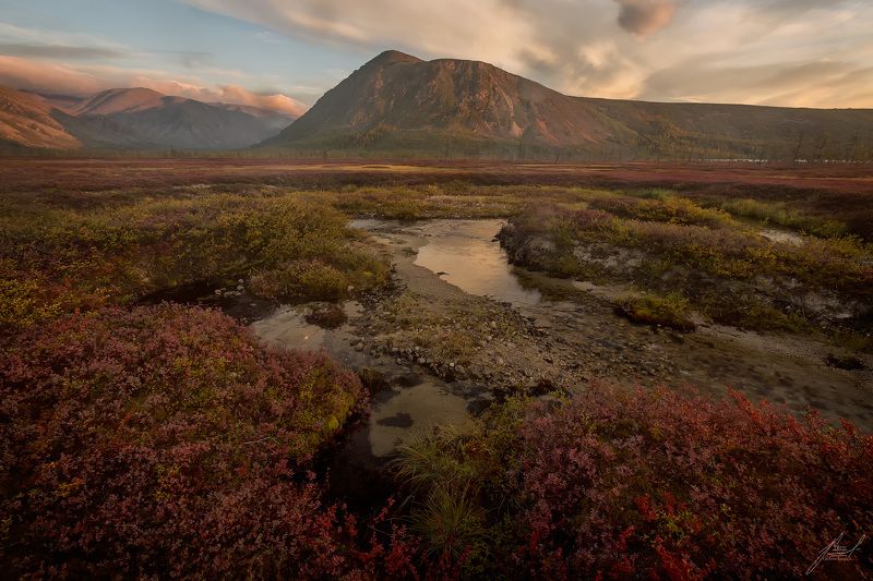 Утренние часыphoto preview