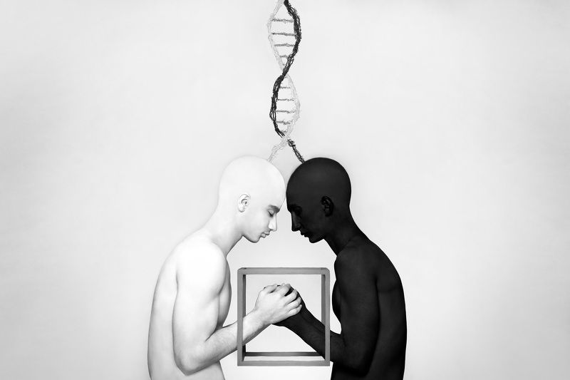 Evolutionphoto preview