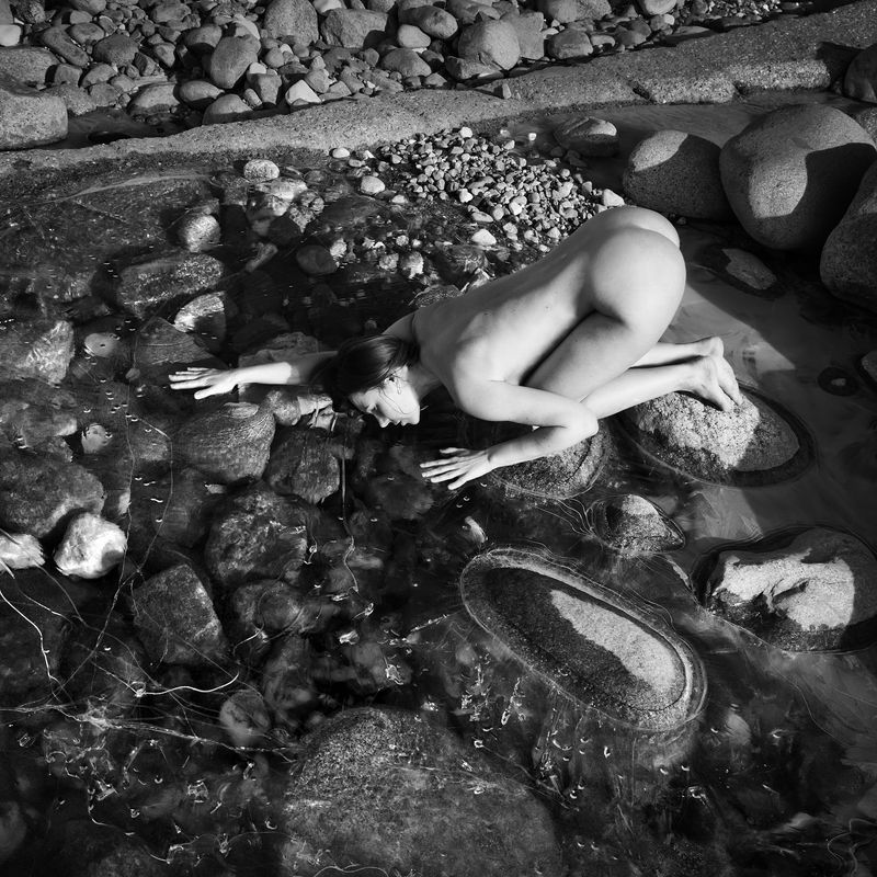 Anti-utopiaphoto preview