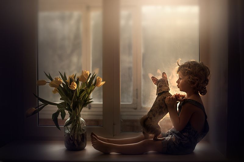 мальчик, закат, весна, тюльпаны Весенние закатыphoto preview