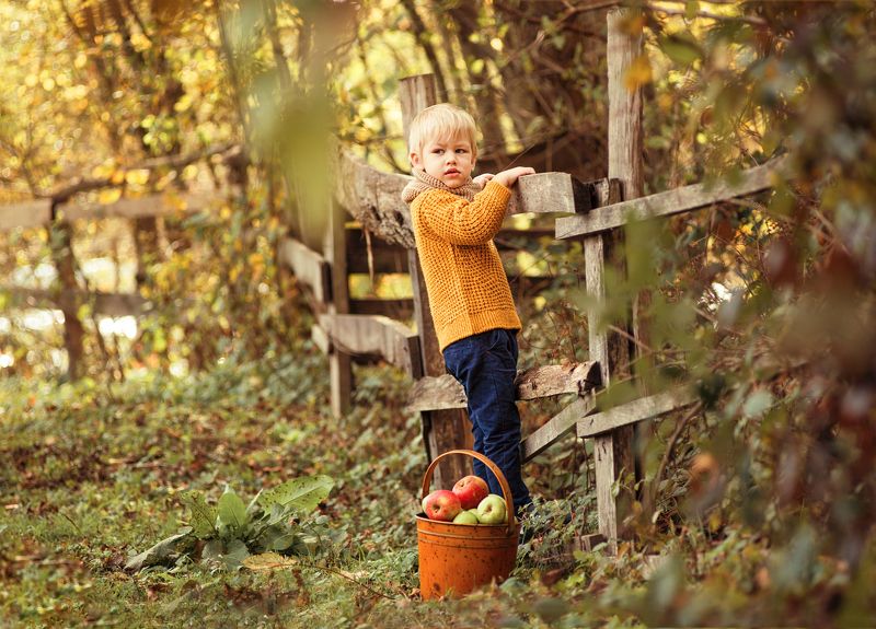 мальчик, осень, отдых, природа, золотая осень photo preview