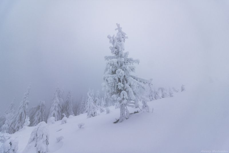 горы, гори, закарпаття, зима, карпати, свидовець, лопухів, лопухов, свидовец, карпаты, закарпатье, Одежды по сезонуphoto preview