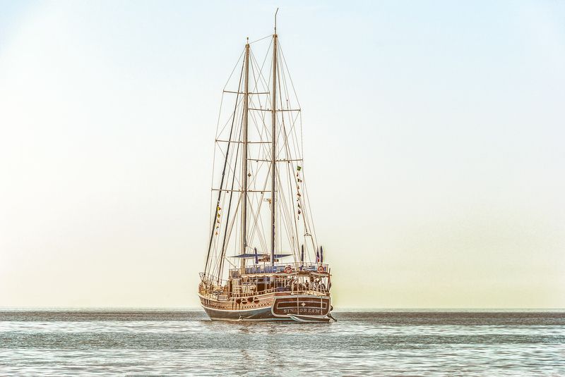 на Красном мореphoto preview