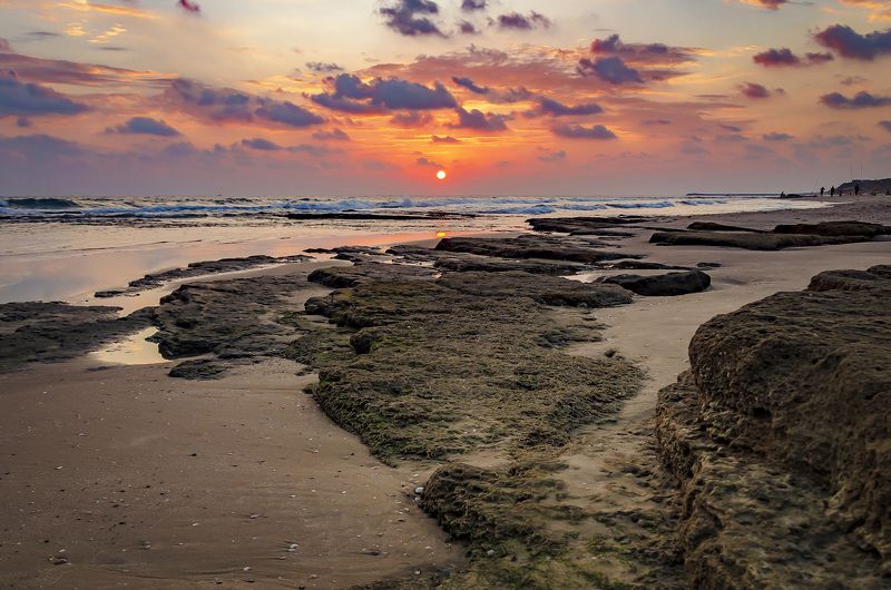 G A Z A  C I T Yphoto preview