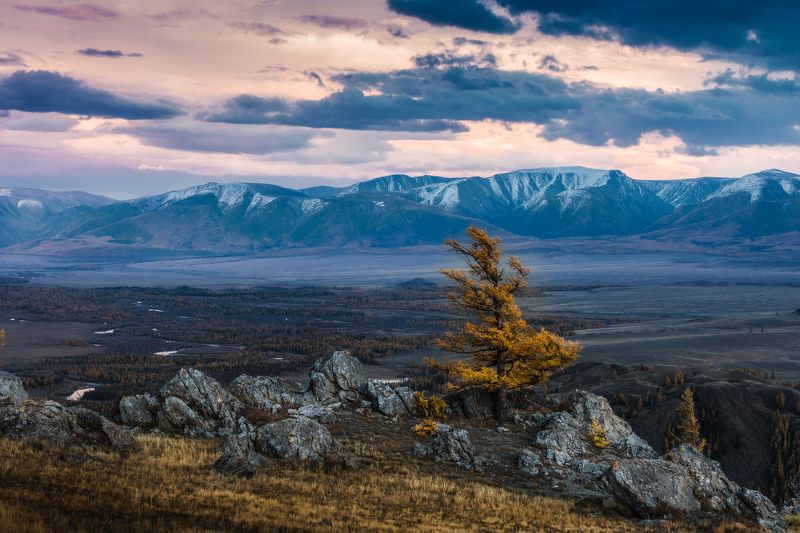 осень, алтай, чуя, степь, горы Назло всем ветрамphoto preview