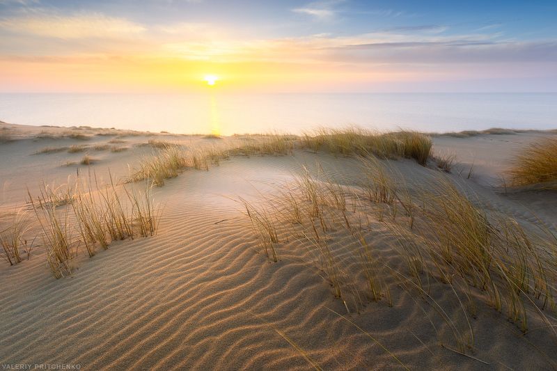Утро на Куршской косе.photo preview
